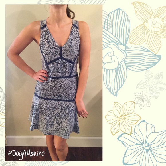 Parker Blue Dress